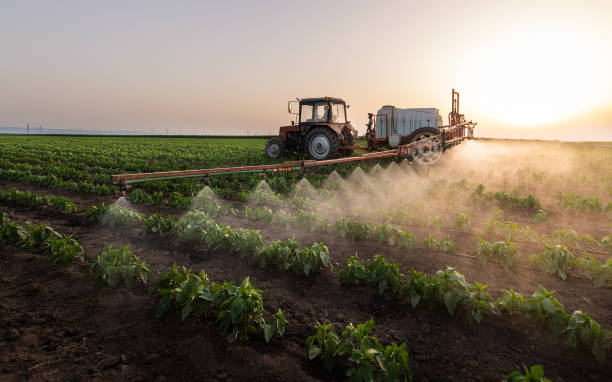 Best Mosquito Control Services  in Red Lake Falls, MN