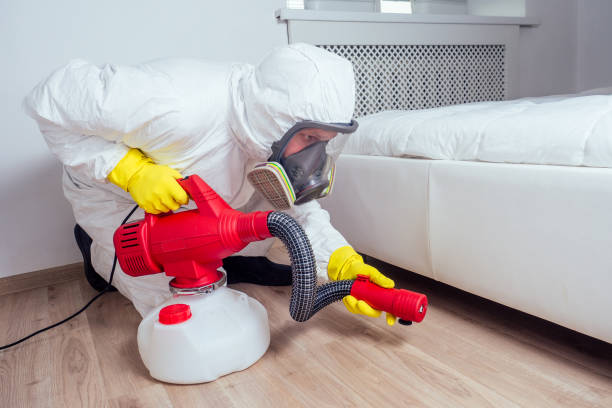 Best Pest Control Near Me  in Red Lake Falls, MN