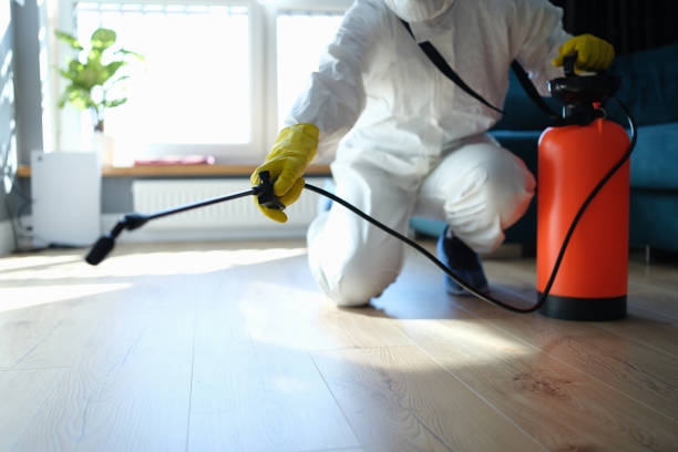 Best Flea Control Services  in Red Lake Falls, MN