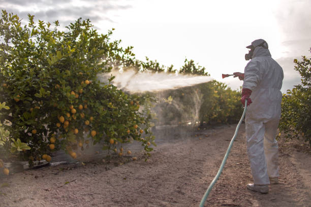 Red Lake Falls, MN Pest Control Company