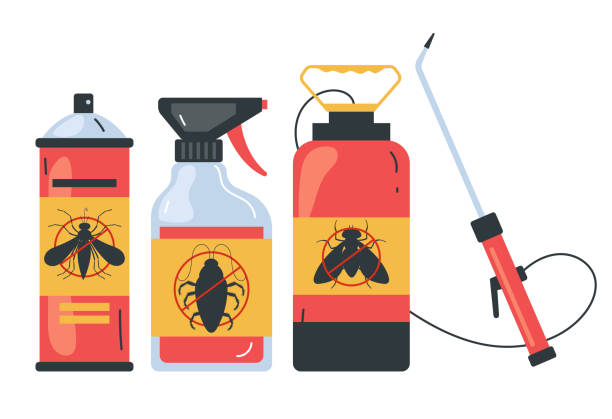 Best Termite Control Services  in Red Lake Falls, MN