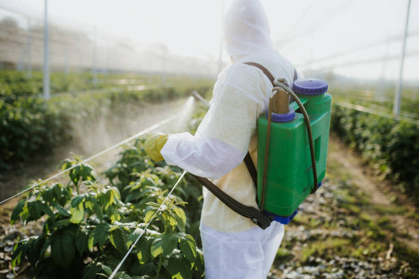 Best Emergency Pest Control  in Red Lake Falls, MN